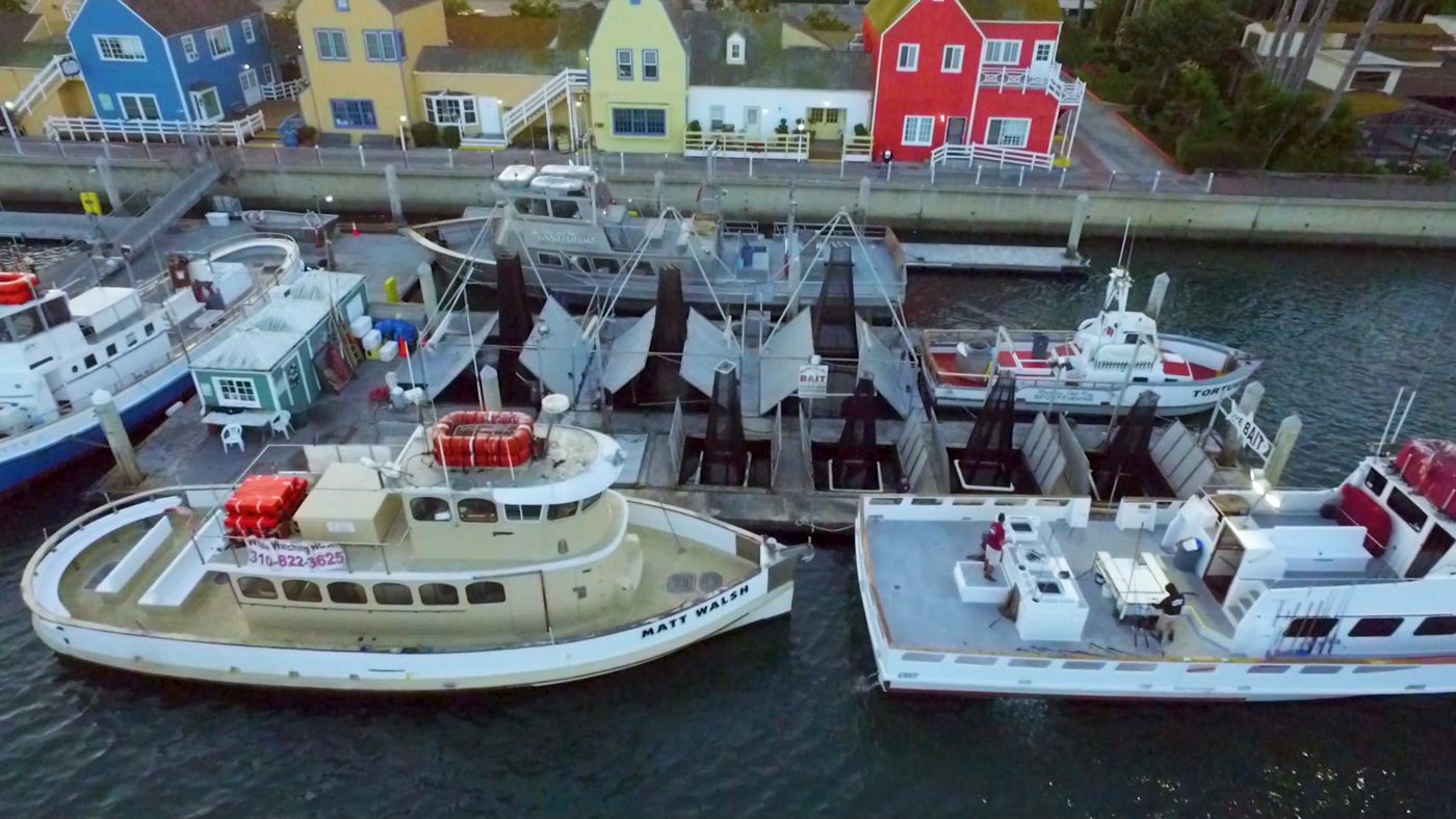 The fleet at the Marina del Rey landing