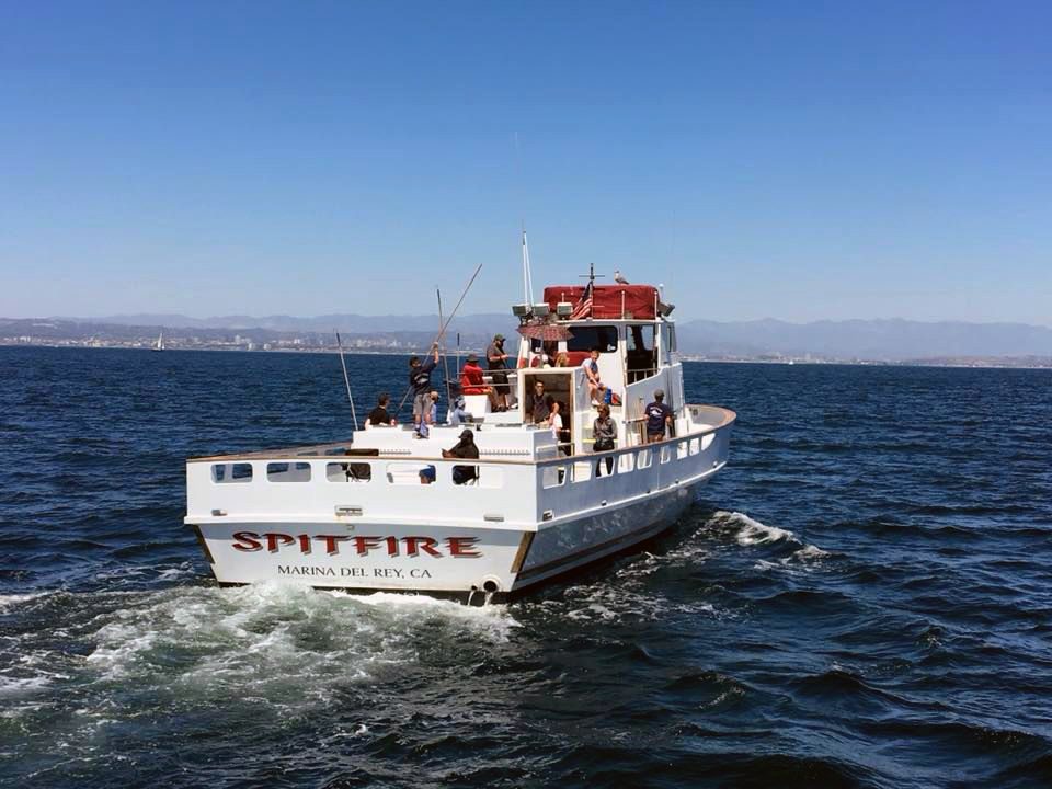 Spitfire sportfishing boat