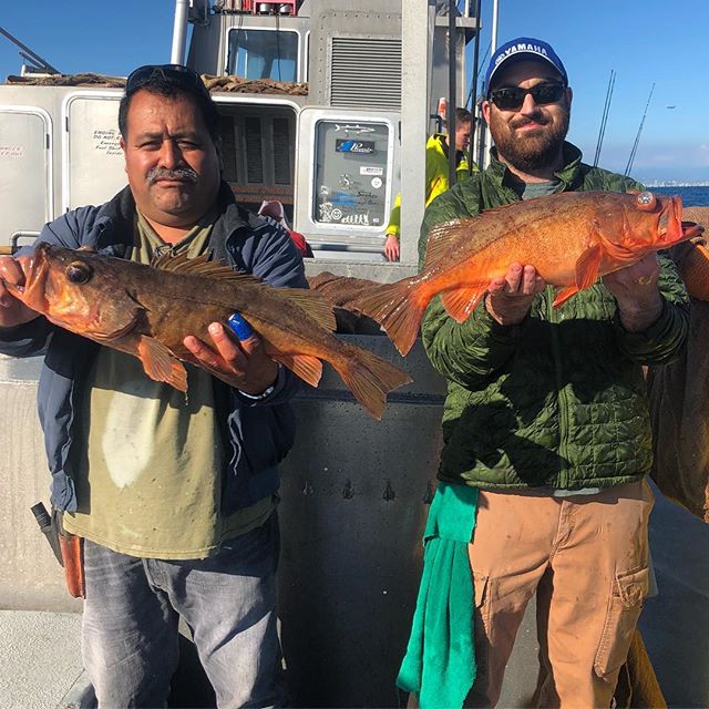 marina del rey sportfishing