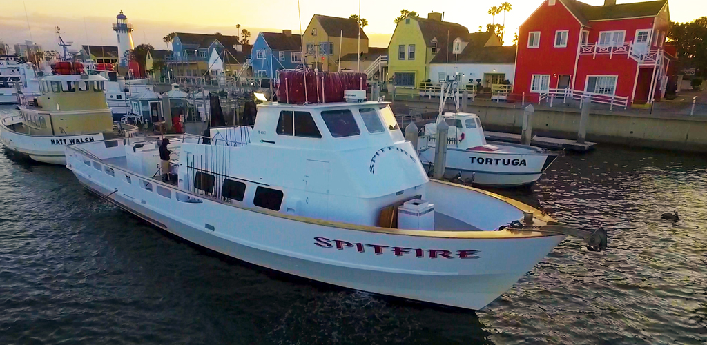 SPITFIRE – MARINA DEL REY SPORTFISHING